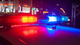 Accident grav la Cantemir: Un polițist a ucis doi cai